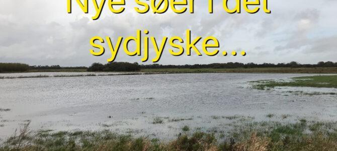 Syddanskerne er stærkt bekymret for klimaforandringerne Syddanskerne er stærkt bekymret for klimaforandringerne