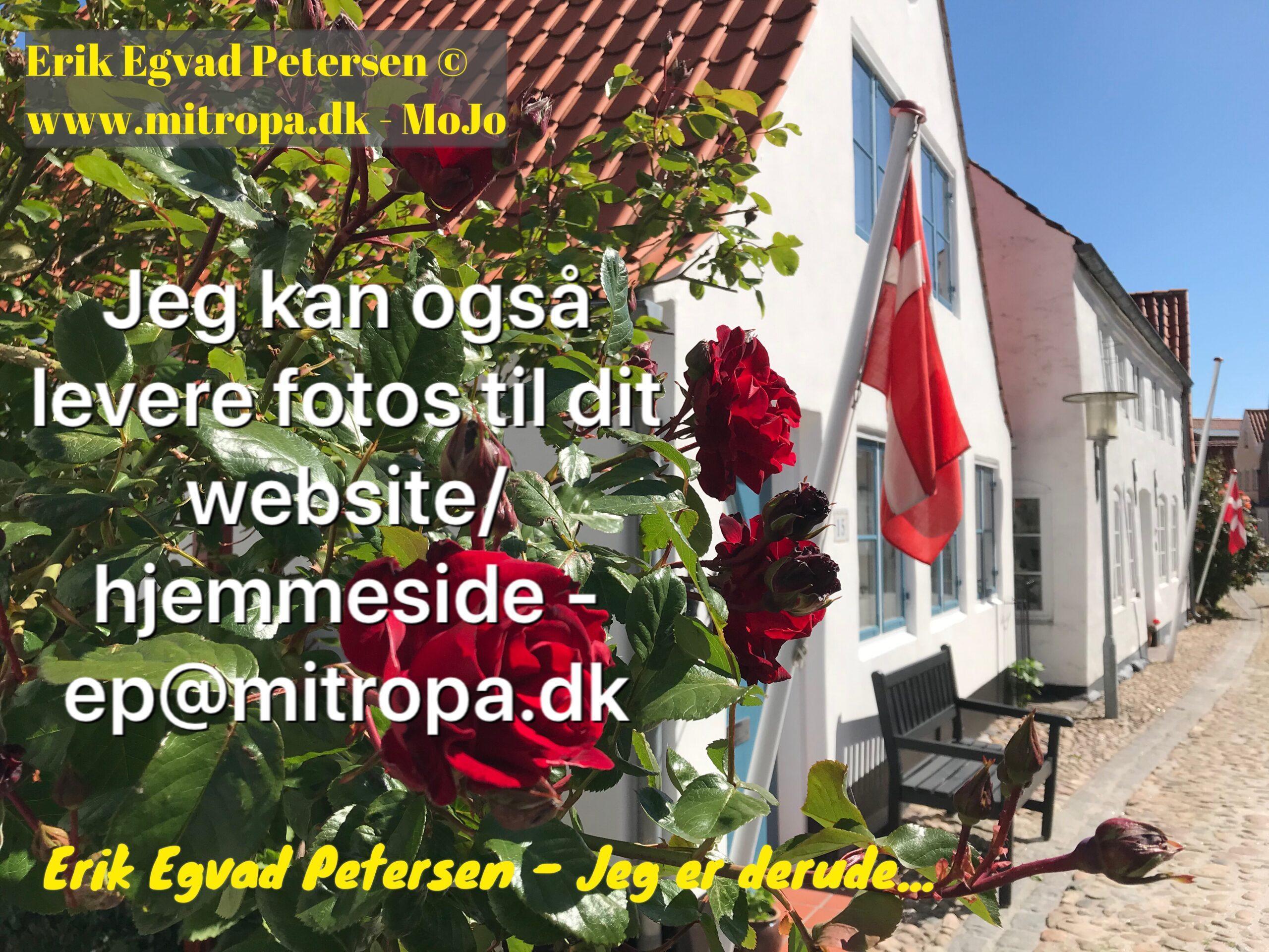 – Et godt foto er guld værd i markedsføringen – Et godt foto er guld værd i markedsføringen